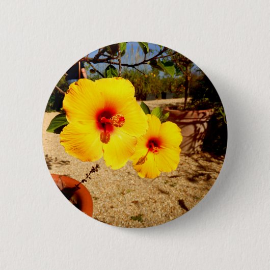 Gelbes Hibiskus Abzeichen Button (Vorderseite)