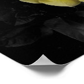 Gelbes Hibiskus-Foto Poster (Ecke)