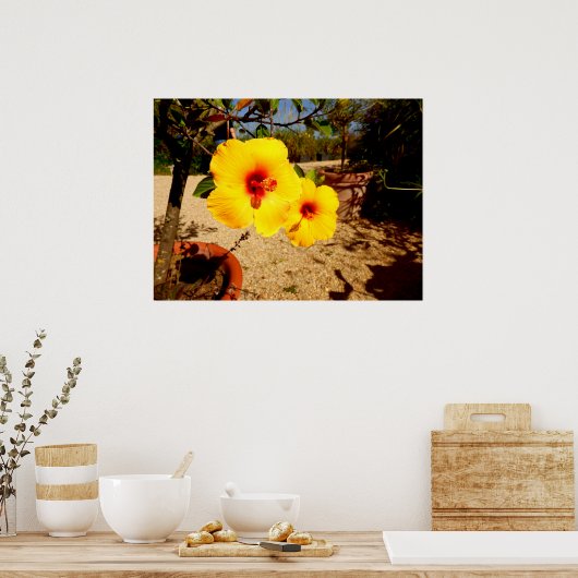 Gelbes Hibiskus Poster (Küche)