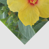 Gelbes Hibiskus-Tissue-Papier Seidenpapier (Ausschnitt)