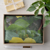 Gelbes Hibiskus-Tissue-Papier Seidenpapier (Geschenk)