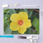 Gelbes Hibiskus-Tissue-Papier Seidenpapier (Handwerk)