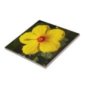 Gelbes Hibiskusblüten-Foto-Trivet-Splashback Fliese (Seite)