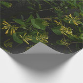 Gelbes Honeysuckelwaschpapier. Geschenkpapier (Ecke)