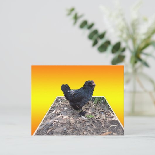 Gelbes Huhn Pop Aussichtskarte Postkarte (Stehend Vorderseite)