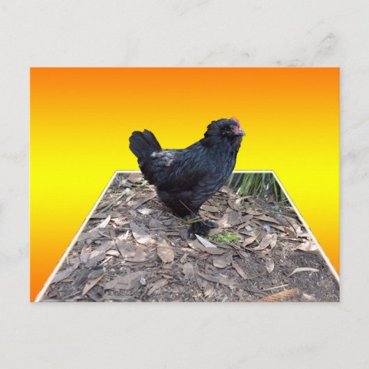 Gelbes Huhn Pop Aussichtskarte Postkarte (Vorderseite)