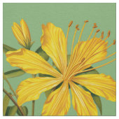 Gelbes Johanniskraut-Blumenmuster Stoff (Nahaufnahme)
