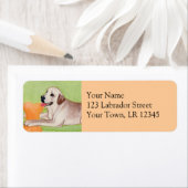 Gelbes Labrador auf dem grünen Sofa (Insitu)