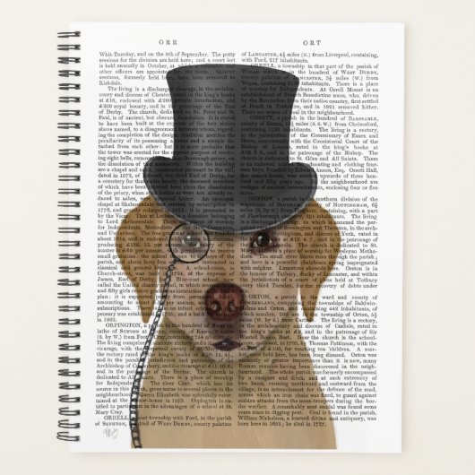 Gelbes Labrador, formales Hound und Hut Planer (Vorderseite)