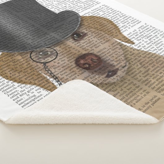 Gelbes Labrador, formales Hound und Hut Sherpadecke (3/4)