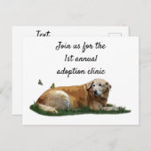 Gelbes Labrador gemischte Rasse Hund Postkarte (Vorne/Hinten)