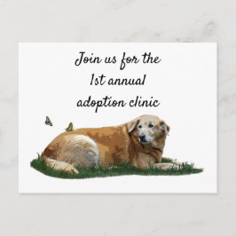 Gelbes Labrador gemischte Rasse Hund Postkarte