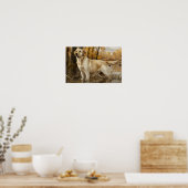 Gelbes Labrador-Jagdposter, Entenjäger Poster (Küche)