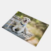 Gelbes Labrador liegt auf der Bank Fußmatte (Schrägansicht)