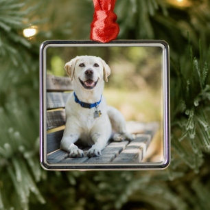 Gelbes Labrador liegt auf der Bank Ornament Aus Metall