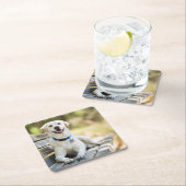 Gelbes Labrador liegt auf der Bank Rechteckiger Pappuntersetzer (Vor Ort)