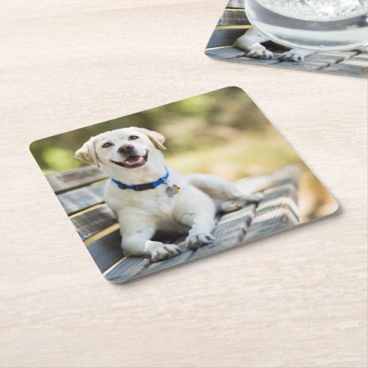 Gelbes Labrador liegt auf der Bank Rechteckiger Pappuntersetzer (angewinkelt)