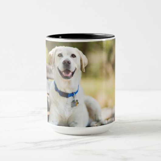 Gelbes Labrador liegt auf der Bank Tasse (Zentrum)