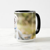 Gelbes Labrador liegt auf der Bank Tasse (VorderseiteRechts)