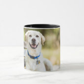 Gelbes Labrador liegt auf der Bank Tasse (Zentrum)