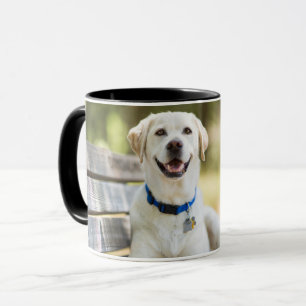 Gelbes Labrador liegt auf der Bank Tasse