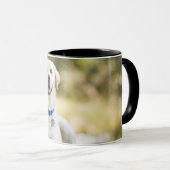 Gelbes Labrador liegt auf der Bank Tasse (VorderseiteRechts)