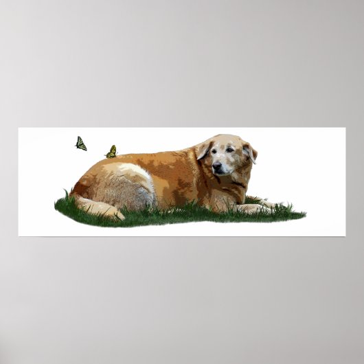 Gelbes Labrador Mischrasse Hundepopster Poster (Vorne)