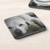 Gelbes Labrador mit altem Tennisball Untersetzer (Linke Seite)