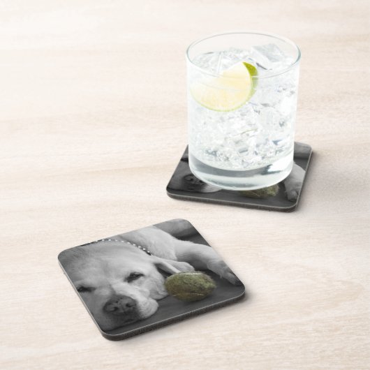 Gelbes Labrador mit altem Tennisball Untersetzer (Rechte Seite)