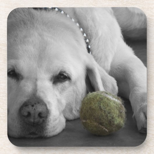 Gelbes Labrador mit altem Tennisball Untersetzer (Vorderseite)