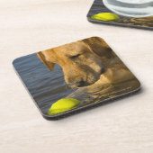 Gelbes Labrador mit einem Tennisball im Wasser Getränkeuntersetzer (Linke Seite)