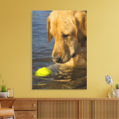 Gelbes Labrador mit einem Tennisball im Wasser Leinwanddruck (Insitu (Wohnzimmer))