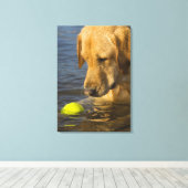 Gelbes Labrador mit einem Tennisball im Wasser Leinwanddruck (Insitu (Holzboden))