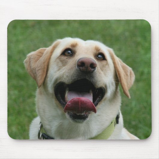 Gelbes Labrador mousepad (Vorne)