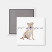 Gelbes Labrador-Party Tier Magnet (Vorderseite/Rückseite)
