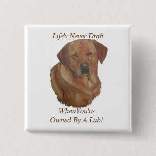 gelbes Labrador Retreider Hundportrait Spaß Slogan Button