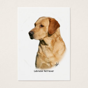 Gelbes Labrador retriever