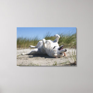 Gelbes Labrador retriever 2 Leinwanddruck