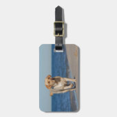 Gelbes Labrador Retriever am Strand Gepäckanhänger (Vorderseite vertikal)