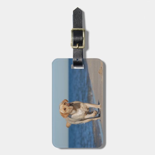 Gelbes Labrador Retriever am Strand Gepäckanhänger (Vorderseite vertikal)