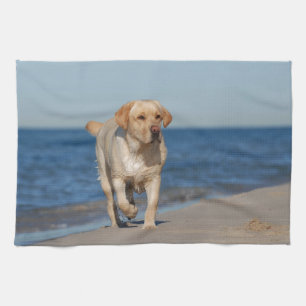 Gelbes Labrador Retriever am Strand Geschirrtuch