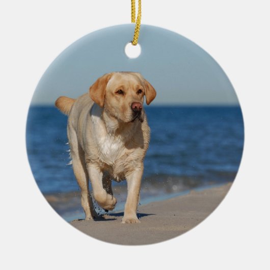 Gelbes Labrador Retriever am Strand Keramikornament (Vorne)