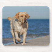 Gelbes Labrador Retriever am Strand Mousepad (Vorne)