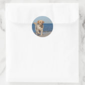 Gelbes Labrador Retriever am Strand Runder Aufkleber (Tasche)
