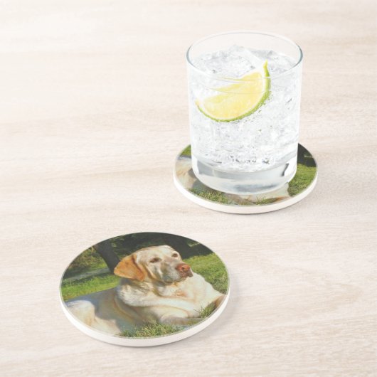 Gelbes Labrador retriever Getränkeuntersetzer (Seite)