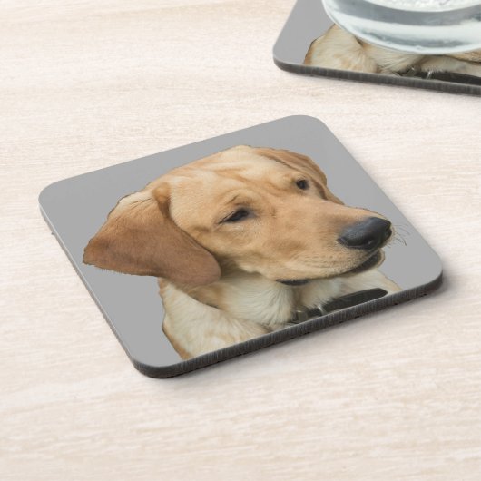 Gelbes Labrador retriever Getränkeuntersetzer (Linke Seite)