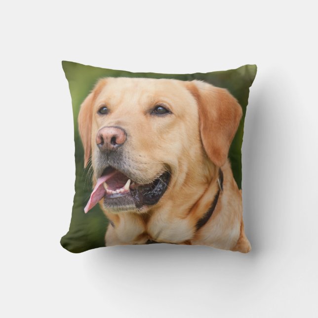 Gelbes Labrador Retriever Hund - Labrador Kissen (Vorderseite)