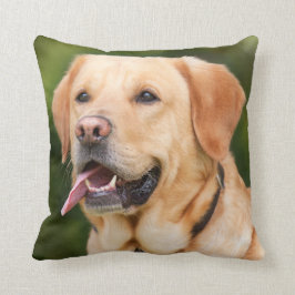 Gelbes Labrador Retriever Hund - Labrador Kissen