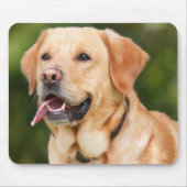 Gelbes Labrador Retriever Hund - Labrador Mousepad (Vorne)