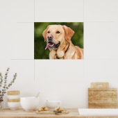 Gelbes Labrador Retriever Hund - Labrador Poster (Küche)
